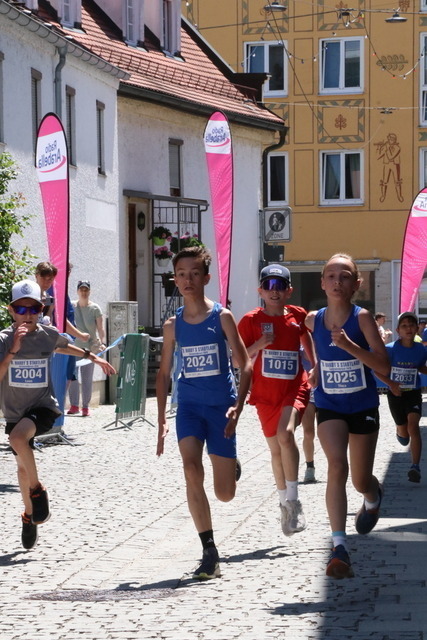 IMG_8899 | Michael Krenz