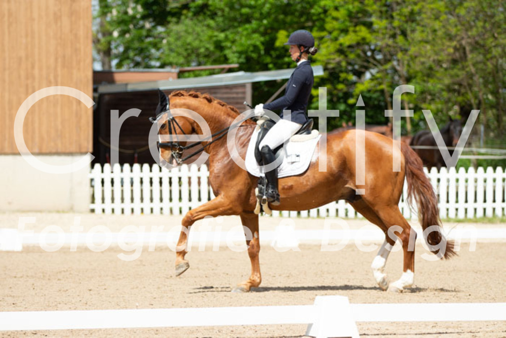 IMG_5692 | Creatify Fotografie