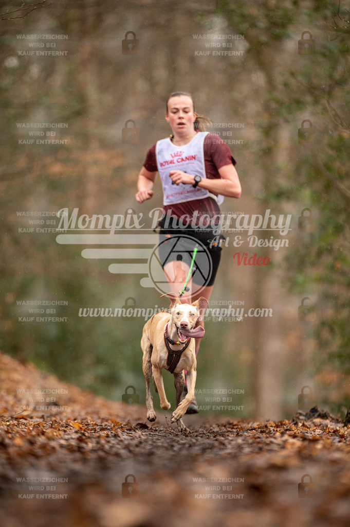 SPA_2023_DIM_CCL-76 | PayLife