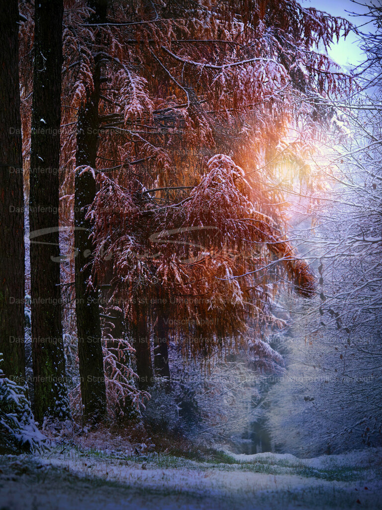 Wandbild Der erste Schnee #02 | People- und Tierfotografie, Imageaufnahmen, Veranstaltungsfotografie und Wandbilder aus der Natur ★ Made in Germany ✔️ Druck + Downloads ✔️ Naturfotografie in Top Qualität ★ schneller Versand, weltweite Lieferung! - Realisiert mit Pictrs.com