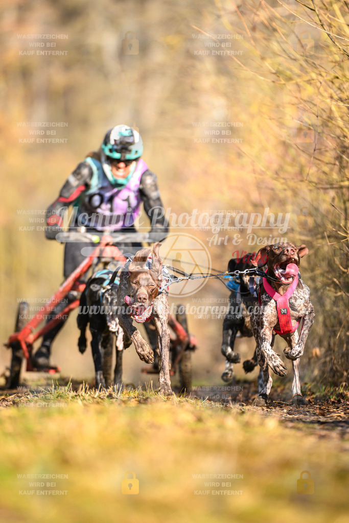 MompixPhotography_Schwabentrail2025_SO_Kart-19 | PayLife