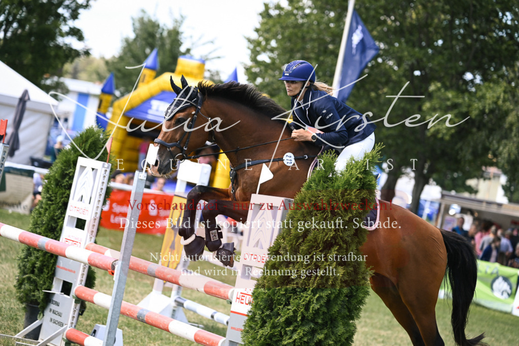 DSC_0316 | Pferde- und Turnierfotografie in Westsachsen. Pferdeportraits, Auftragszeichnungen und intuitive Kunst.