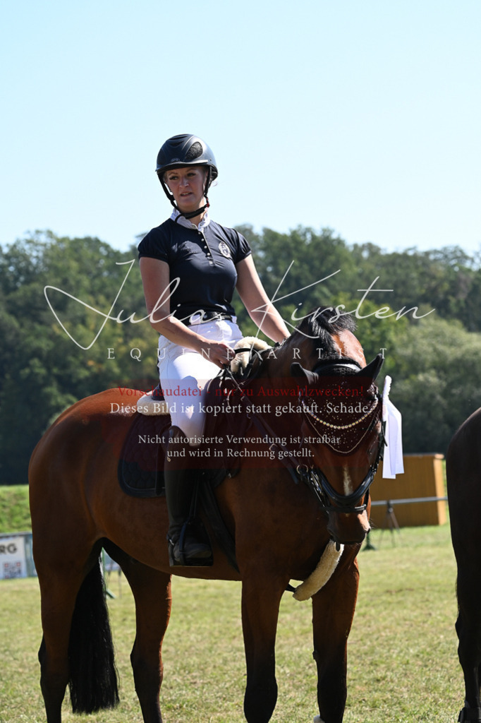 DSC_6497 | Pferde- und Turnierfotografie in Westsachsen. Pferdeportraits, Auftragszeichnungen und intuitive Kunst.