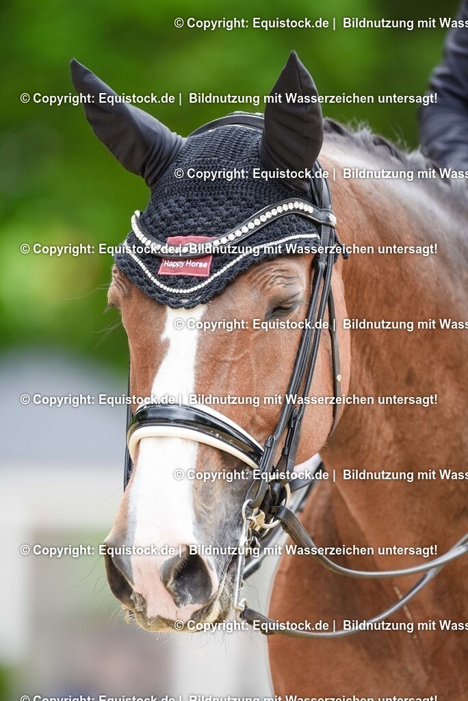 20250608_03_GP-Special-Tour_0096 | Foto: Thomas Hartig