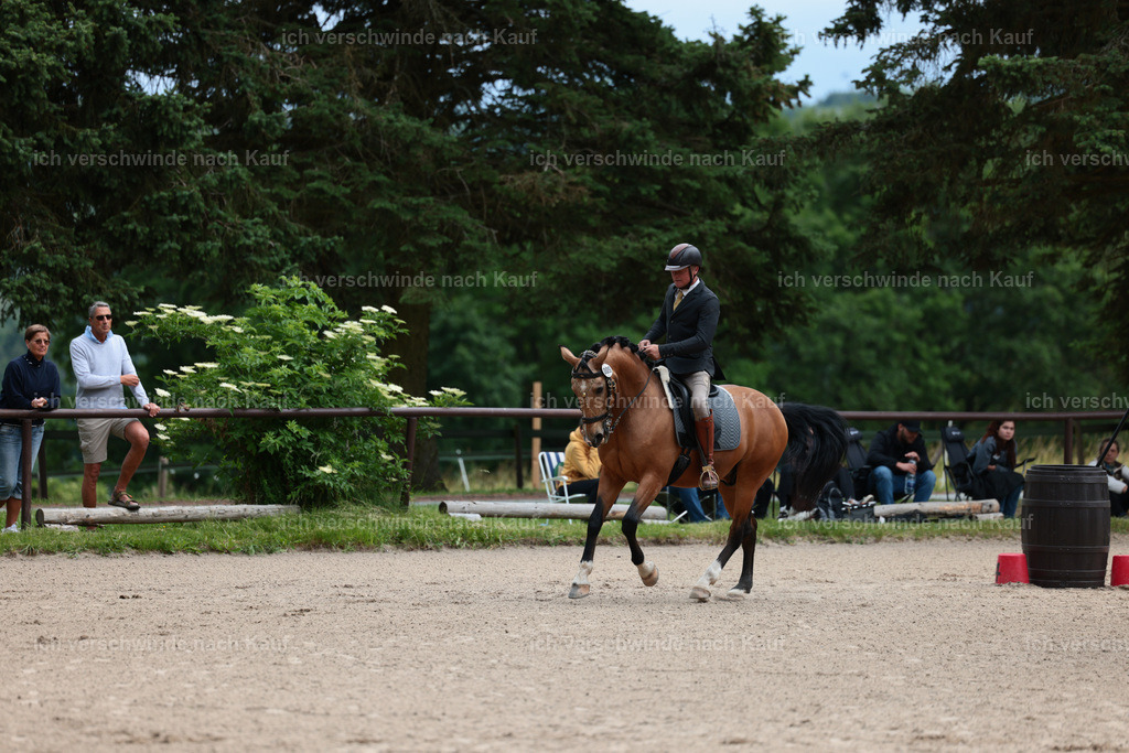 Masterclass_stoibphotography_C2_L6610.JPG | working equitationturnier fotograf videograf stoibphotography marixx film working equitation deutschland reitsport turnierfotografie eventfotografie equestrian events