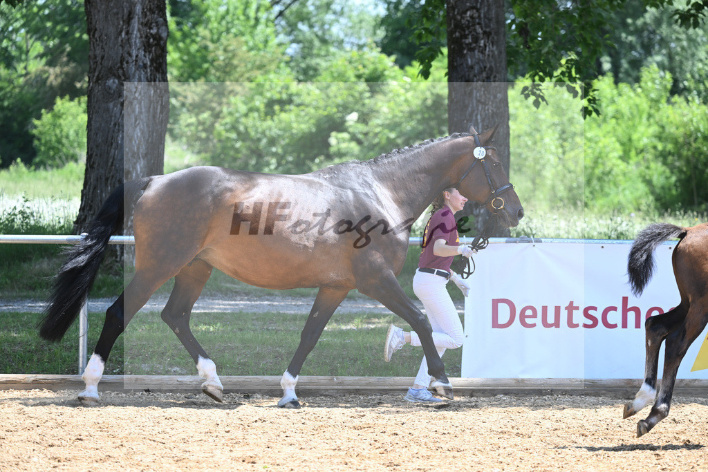 Kat-Nr. 20 SF Secret_Schwandtner_14230623 | hf-fotografie - Realisiert mit Pictrs.com