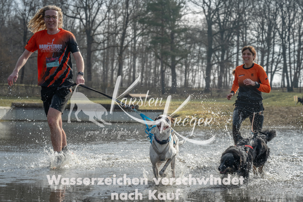 1037_ZZ98566 | kk-dogfotos