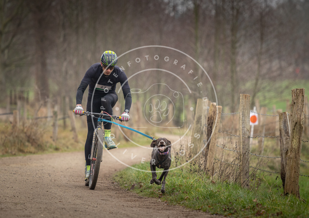 Pfotenfotografie_DV3A2148 | Hundefotografie, Tierfotograf, Pfotenfotografie, Fotoshooting Hund, Hunde Portrait, Hundesport, Hundeportraits, Heideshooting, Hunde, Sportfotograf, Hundefotograf, Turnierhundsport, THS,  - Realisiert mit Pictrs.com