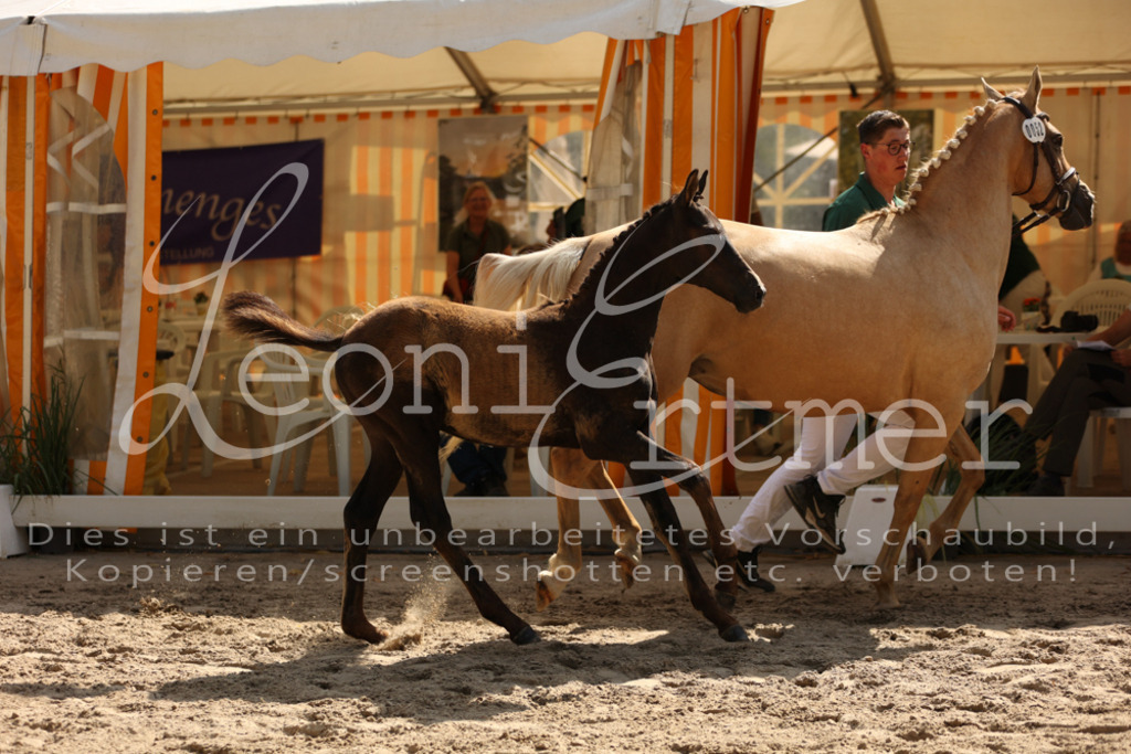 08.DoRPS00055 | Leoni Ertmer Photography - Realisiert mit Pictrs.com