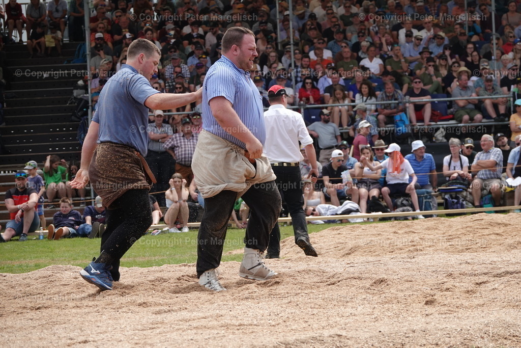 DSC04625 | Schwingen - Realisiert mit Pictrs.com