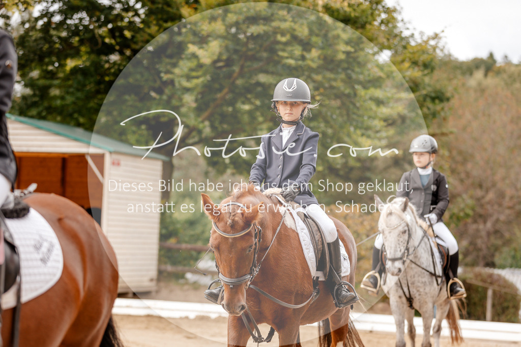 3I6A8322 | Stimmungsvolle Portraits und Reitsportfotografie im Ruhrgebiet und im Münsterland.

Pferdefotografie, Hundefotografie, Tierfotografie, Reportagen, Portraits von Tier und Mensch, Turnierfotografie in Bochum, Recklinghausen, Marl, Haltern am See, Dülmen.. - Realisiert mit Pictrs.com