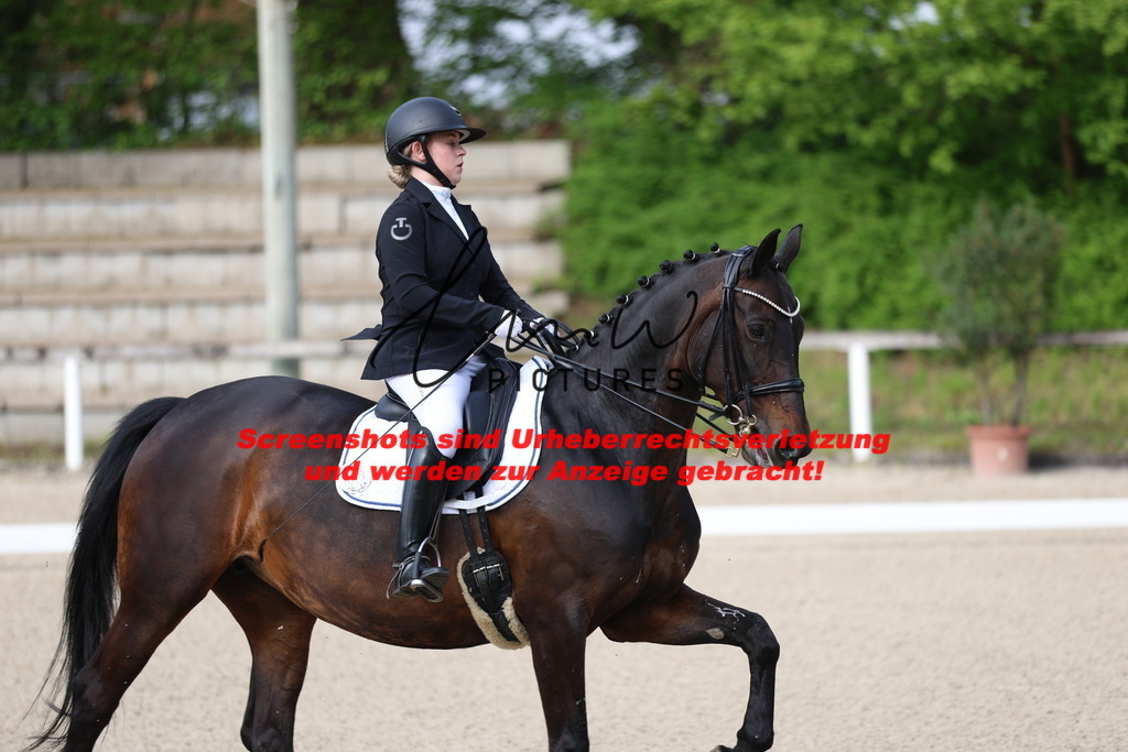 A40A3179 | lmwpictures - Realisiert mit Pictrs.com