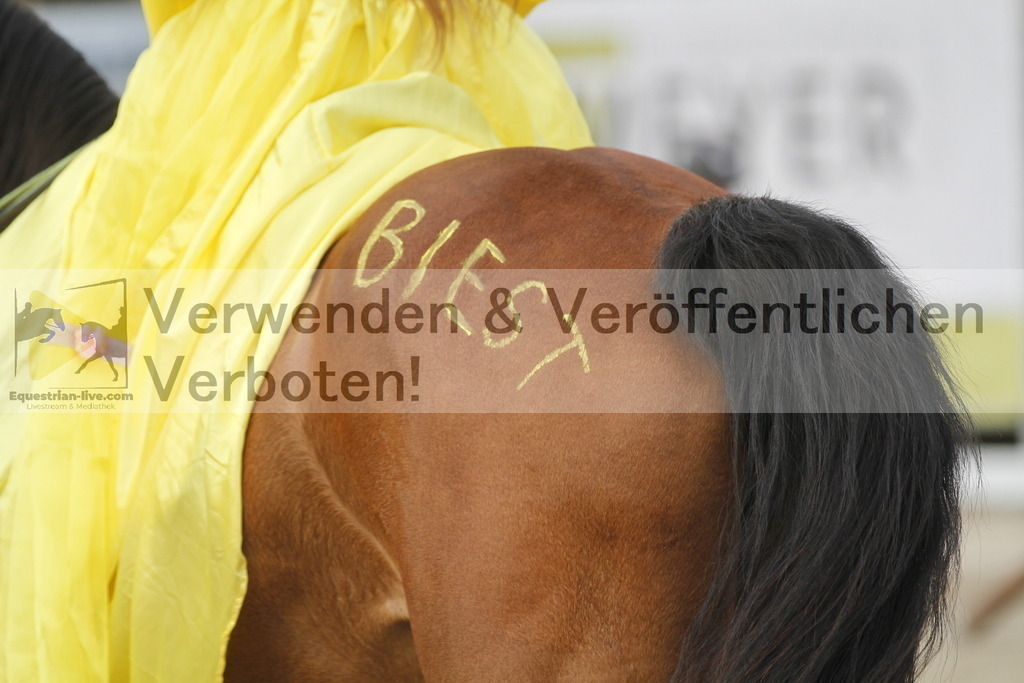 _MG_5522 | equestrian-live-com