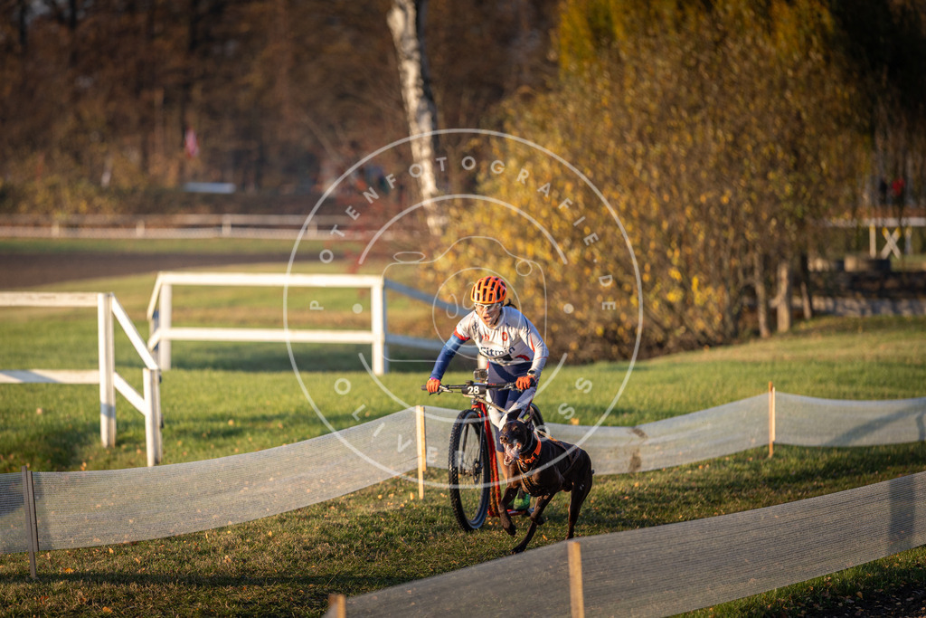 CaniXpix_DV3A9896 | Hundefotografie, Tierfotograf, Pfotenfotografie, Fotoshooting Hund, Hunde Portrait, Hundesport, Hundeportraits, Heideshooting, Hunde, Sportfotograf, Hundefotograf, Turnierhundsport, THS,  - Realisiert mit Pictrs.com