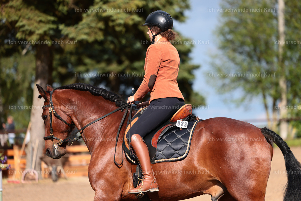 KlasseL_Stoibphotography_CAM24033.JPG | working equitationturnier fotograf videograf stoibphotography marixx film working equitation deutschland reitsport turnierfotografie eventfotografie equestrian events