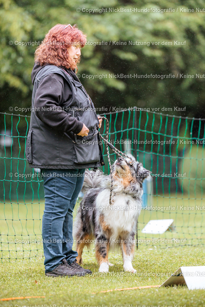 RO-Blumenthal-2026-Nickbest-Hundefotografie-3514 | Dein Hund! Dein Moment! Deine Erinnerungen! Hundefotografie in Bremen Blumenthal. Ich fange die besonderen Momente deines Vierbeiners ein – ob Indoor mit Blitzanlage oder in der freien Natur. Sicher dir dein Moment und dein Termin für eure Erinnerungen.