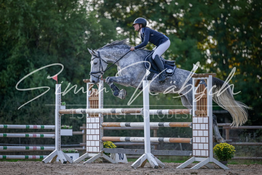 20251012-_3LI5761 | Tierfotografie Pferde, Hunde, Katzen, Haustiere.
Turnierfotografie Reitturniere, Reiten, Springreiten, Dressur in Hanau, dem Main-Kinzig-Kreis und dem Rhein-Main- Gebiet um Frankfurt
