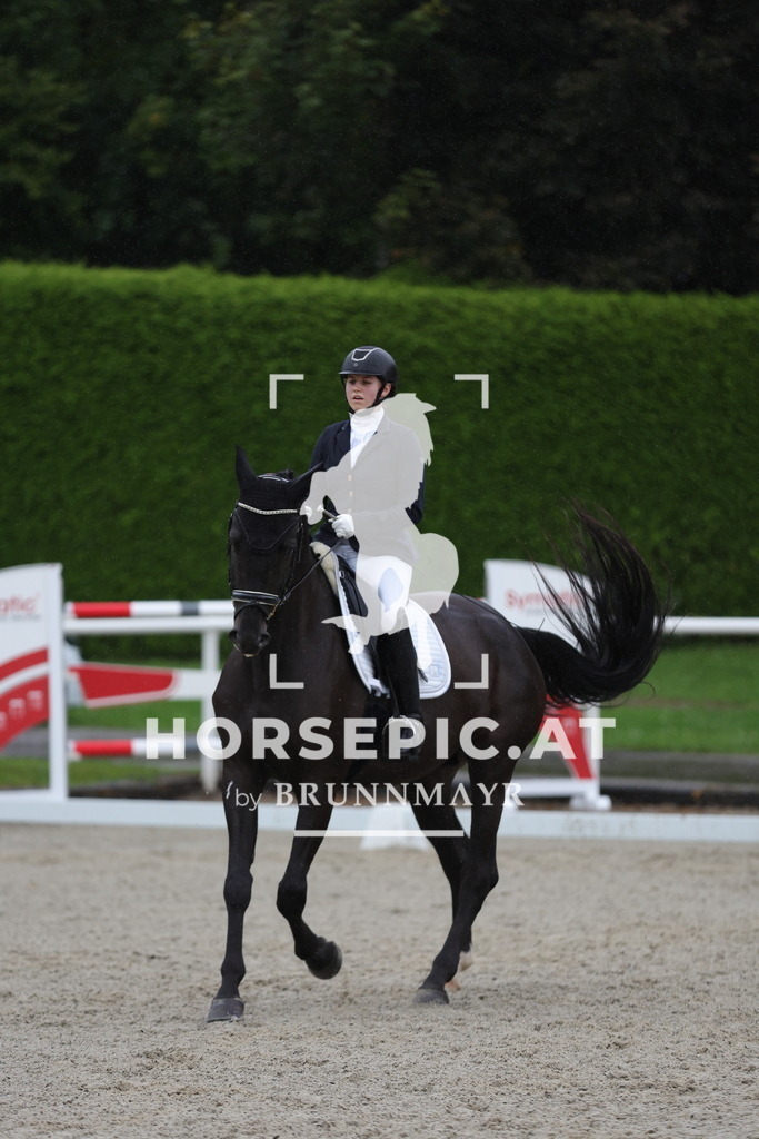 0P6A0687 | Willkommen bei Brunnmayr - Design & Fotografie – Ihrem Spezialisten für Reitturniere und Pferdeveranstaltungen in Oberösterreich, Salzburg und Bayern! Seit über 17 Jahren sind wir leidenschaftlich dabei.