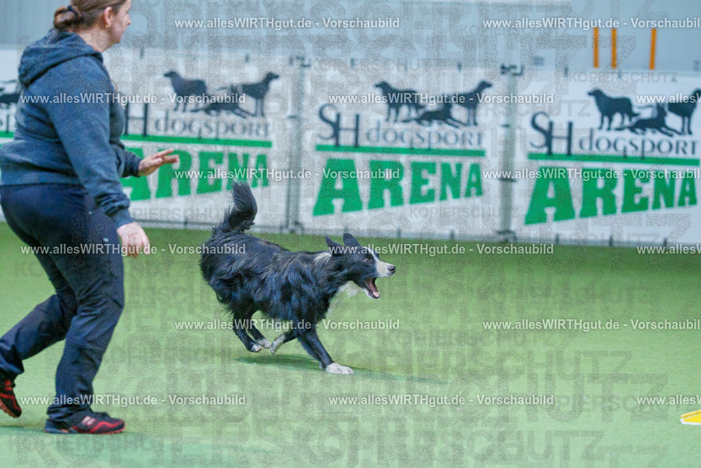 @allesWIRTHgut_Tierfotografie - www.allesWIRTHgut.de - 2604260809-7R506730 | Professionelle Tierfotografie in Mönchengladbach von Daniel Wirth (allesWIRTHgut). Liebevolle & natürliche Bilder von Hunden & Katzen für unvergessliche Erinnerungen.