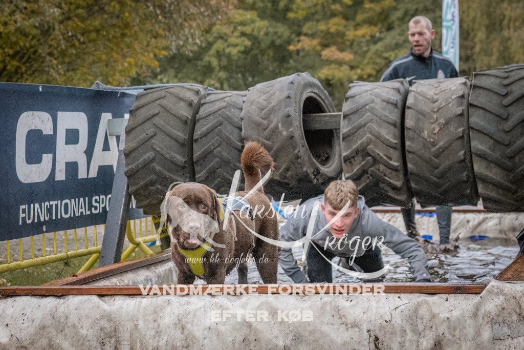 1648_ZZ94126 | kk-dogfotos