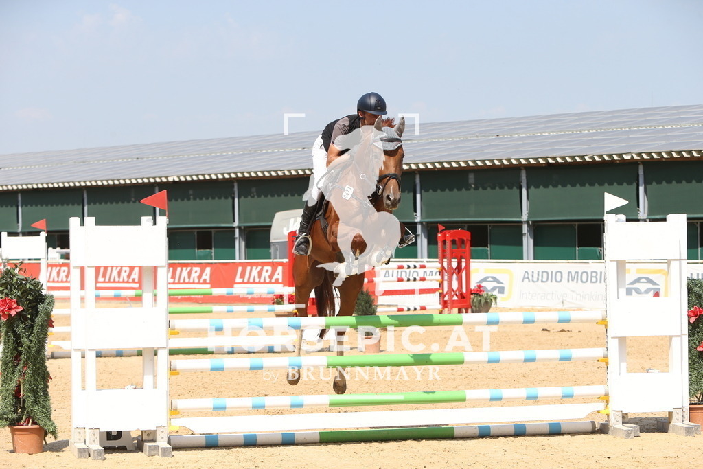 DL2Q0995 | Willkommen bei Brunnmayr - Design & Fotografie – Ihrem Spezialisten für Reitturniere und Pferdeveranstaltungen in Oberösterreich, Salzburg und Bayern! Seit über 17 Jahren sind wir leidenschaftlich dabei.