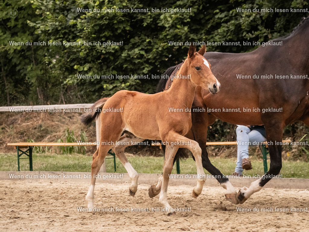 A10I6305 | photographylinaismer - Realisiert mit Pictrs.com