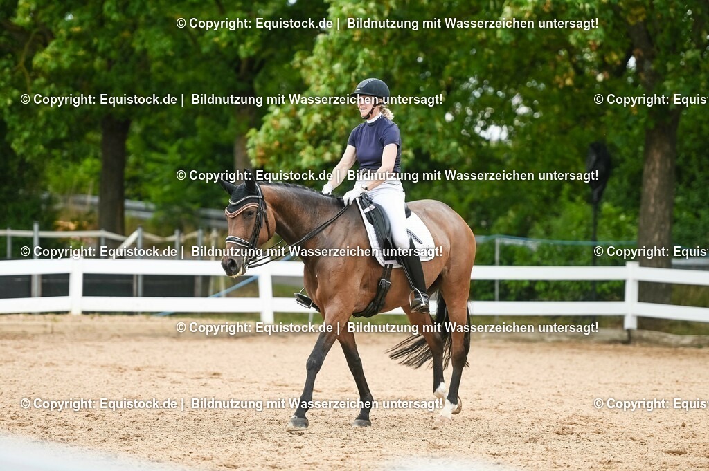 20230716_01_Dressurprüfung Kl.M_0454 | equistock