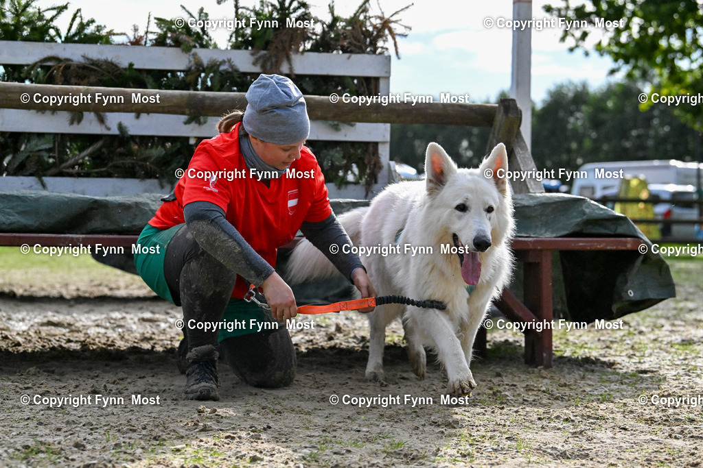 DSC_6283 | Hallo und herzlich Willkommen auf meiner Shop-Seite Fynn Most.

Ich wünsche Dir viel Spaß beim stöbern durch die Bilder, wenn Du Fragen hast oder Bilder vermisst, kannst du mir gerne eine Nachricht schreiben. - Realisiert mit Pictrs.com