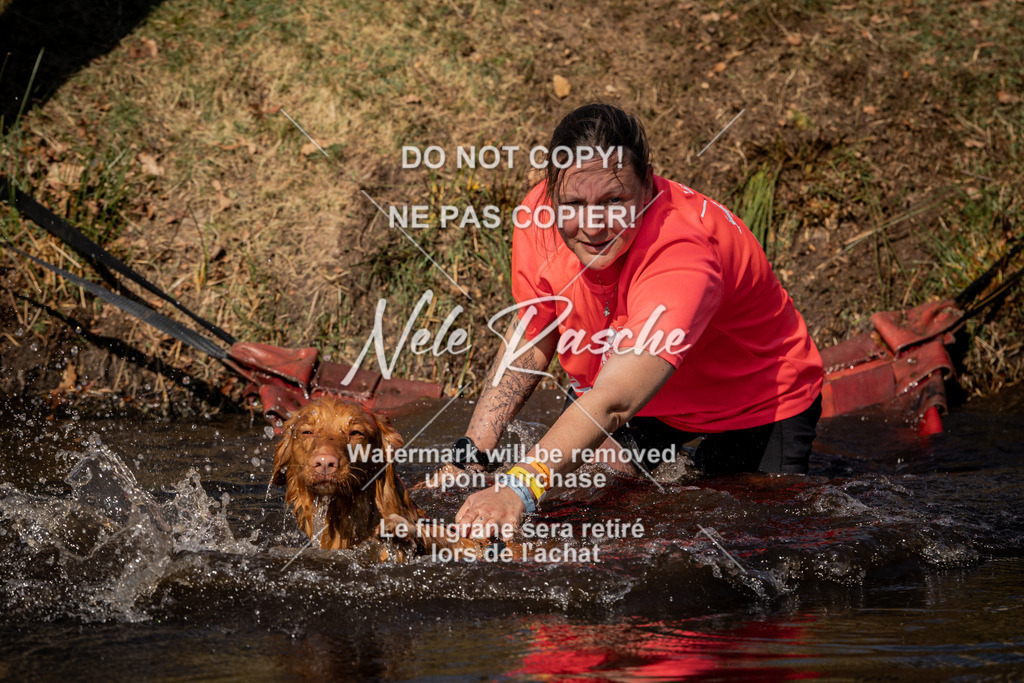 nelerasche_FS1100-1145_394 | nelerasche