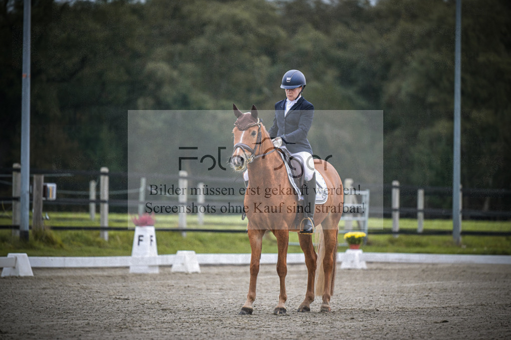 DOS_0278 | Entdecke hochwertige Reitturnierfotos von Foto Oger. Professionell, emotional und authentisch – jetzt Lieblingsmomente im Shop bestellen.Deutschlandweite Turnierfotografie. - Realisiert mit Pictrs.com