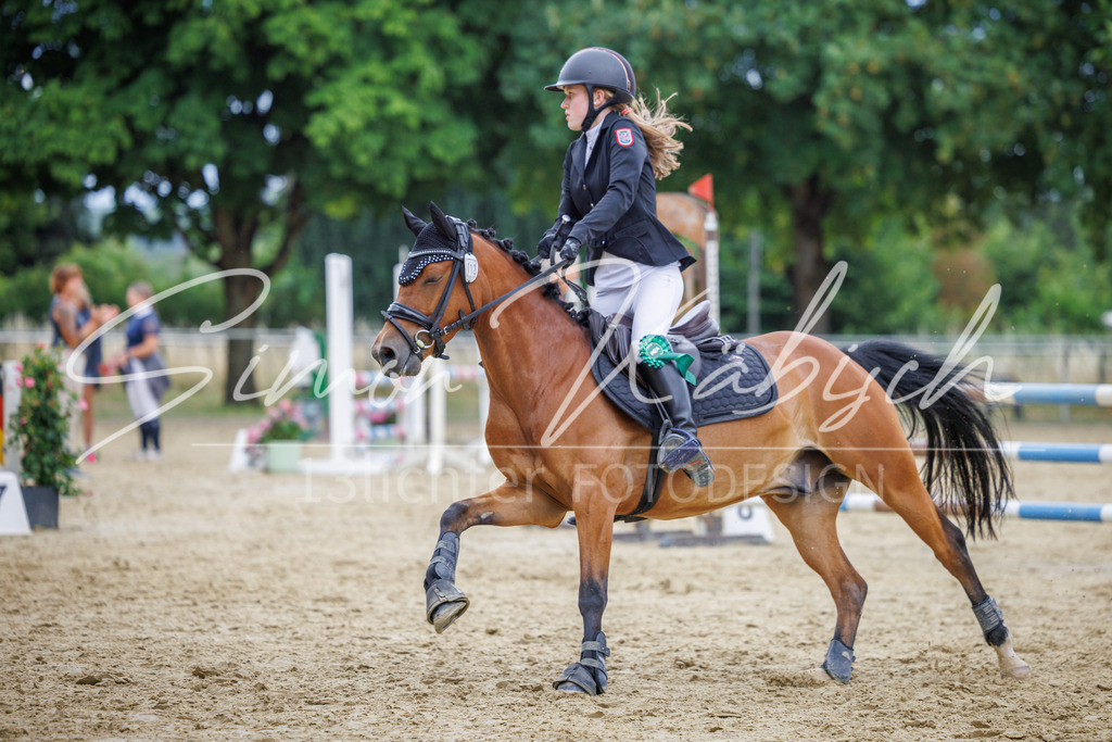 20260705-_3LI5737 | Tierfotografie Pferde, Hunde, Katzen, Haustiere.
Turnierfotografie Reitturniere, Reiten, Springreiten, Dressur in Hanau, dem Main-Kinzig-Kreis und dem Rhein-Main- Gebiet um Frankfurt