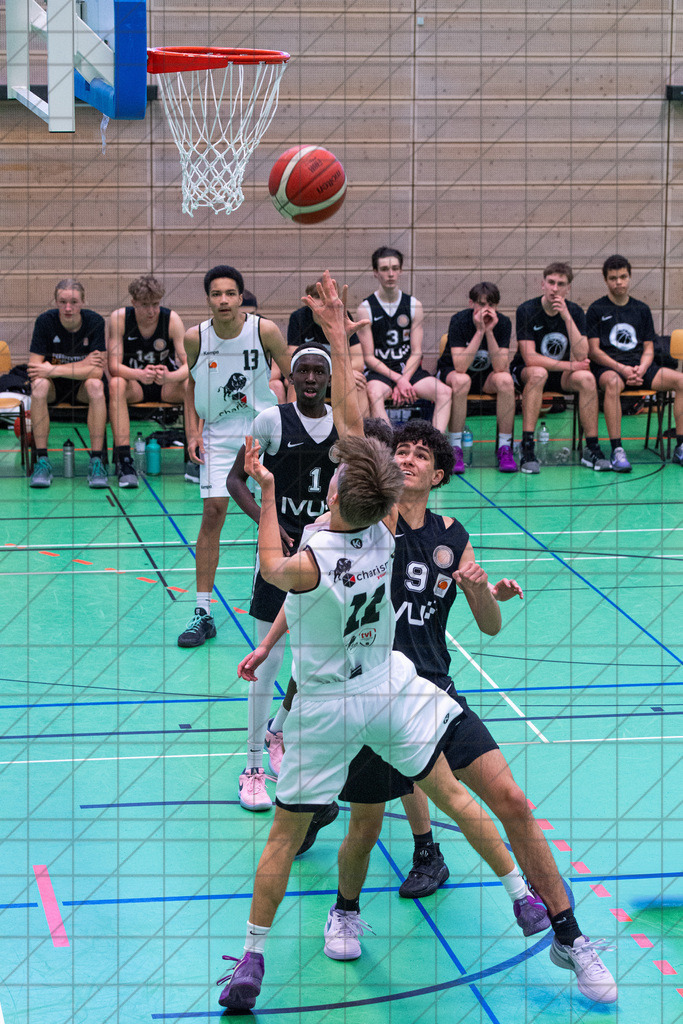 JBBL 24/25 | 12.01.2025 | Charisma Young Bulls vs. Northwestern Basketball Academy | JBBL 24/25 | 12.01.2025 | Charisma Young Bulls vs. Northwestern Basketball Academy - - - - - CREDIT, www.bullenfotos.de, Martin König, Hörner Weg 40, D-49078 Osnabrück, +4917663732967, Nutzung und Weitergabe nur zu den vereinbarten Zwecken. Presseanfragen an Urheber. Alle Rechte beim Urheber. - - - - - - Realisiert mit Pictrs.com