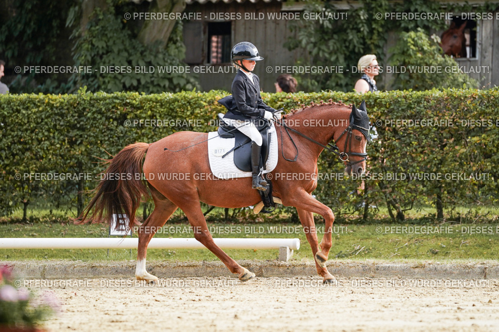 DSC04944 | Pferdegrafie