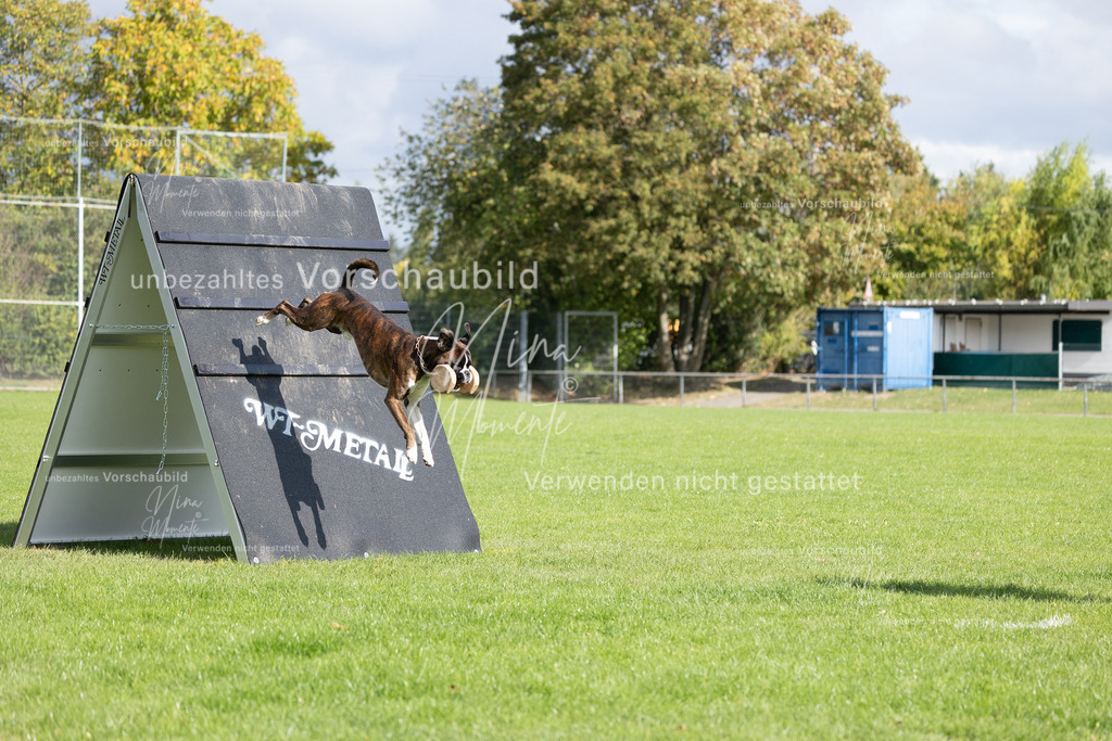 _16A6922 | Einzigartige Fotos von Hunden & Menschen –Actionfotos, Portraits, Vereinsaufnahmen & Paarshootings – authentisch, lebendig & mit Herz.