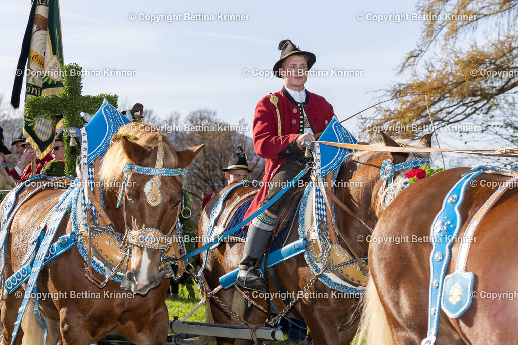 LBT24-1252 | foto-bettina-krinner - Realisiert mit Pictrs.com
