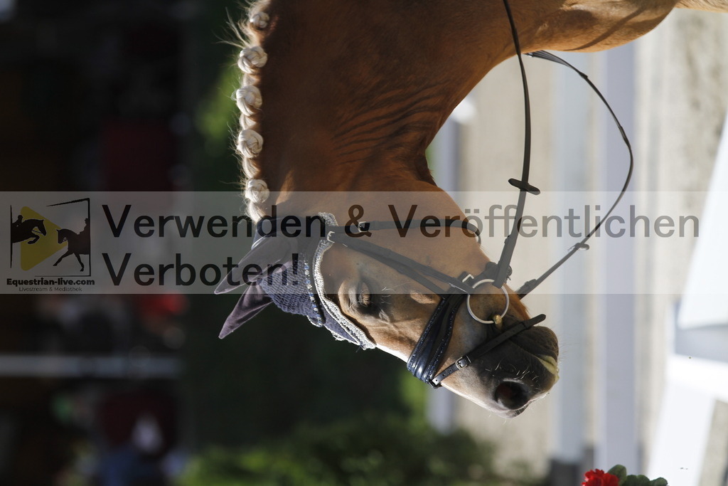 _MG_0678 | equestrian-live-com