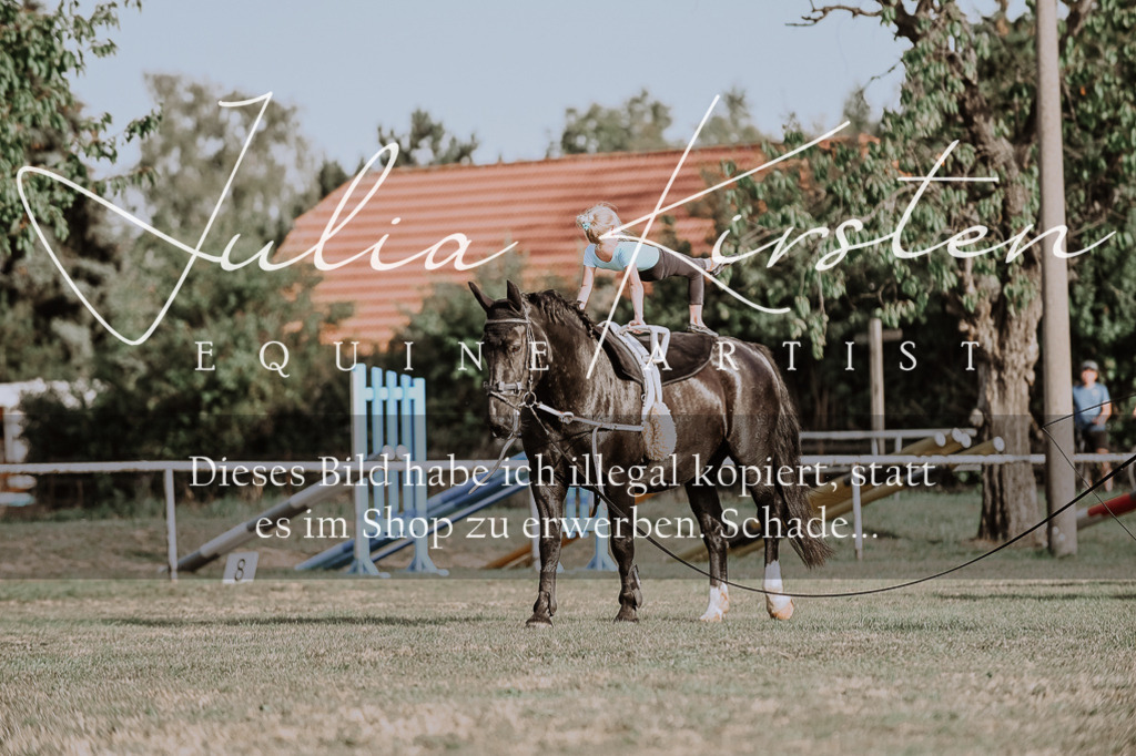 DSC_9887 | Pferde- und Turnierfotografie in Westsachsen. Pferdeportraits, Auftragszeichnungen und intuitive Kunst.