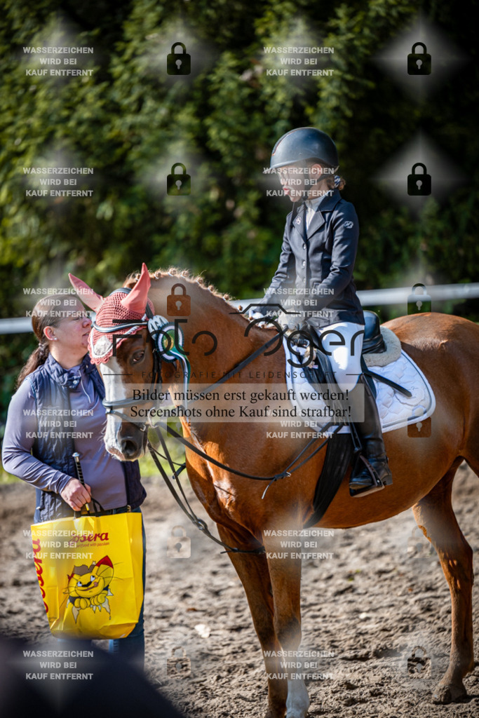 2026-10-Helle-20-4-0060 | Entdecke hochwertige Reitturnierfotos von Foto Oger. Professionell, emotional und authentisch – jetzt Lieblingsmomente im Shop bestellen.Deutschlandweite Turnierfotografie. - Realisiert mit Pictrs.com