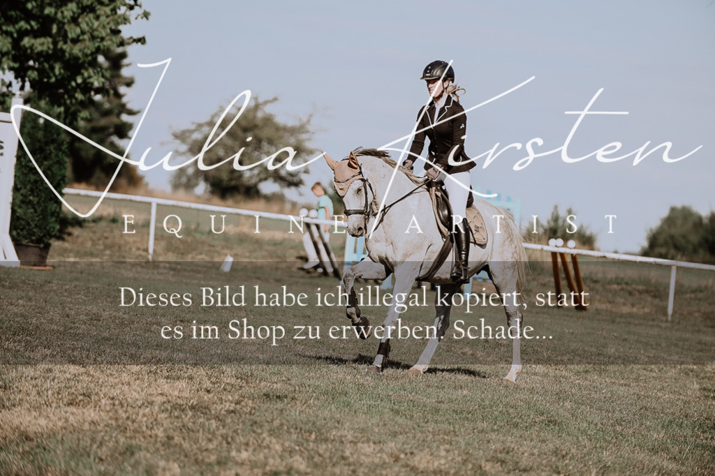 DSC_9510 | Pferde- und Turnierfotografie in Westsachsen. Pferdeportraits, Auftragszeichnungen und intuitive Kunst.
