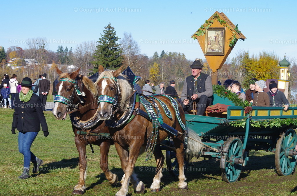 IMGP7608 | fotografiert von Axel PollmannLeonhardi Wallfahrt Benediktbeuern und Murnau, Fronleichnam, Fasching, Landschaft im Loisachtal und Benediktbeuern  - Realisiert mit Pictrs.com