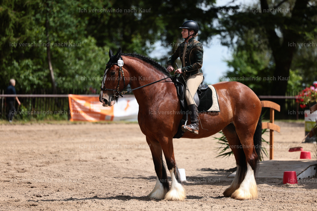 KlasseA_Stoibphotography_C2_L5644.JPG | working equitationturnier fotograf videograf stoibphotography marixx film working equitation deutschland reitsport turnierfotografie eventfotografie equestrian events