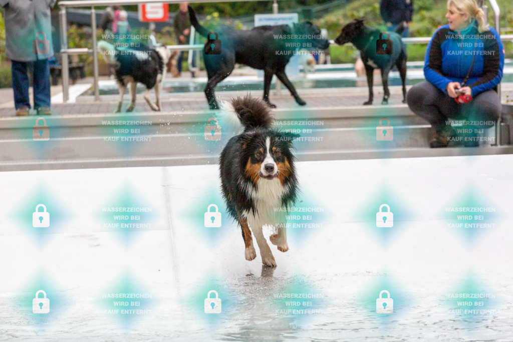 _HP_7428_1000o | HetPix, HetPix Fotodesign, Fotografie, Fotodesign, Webshop, Sportfotografie, Portraitfotografie, Onlineshop, Sportfotografie, Polch, Motorsportfotografie, Eventfotografie