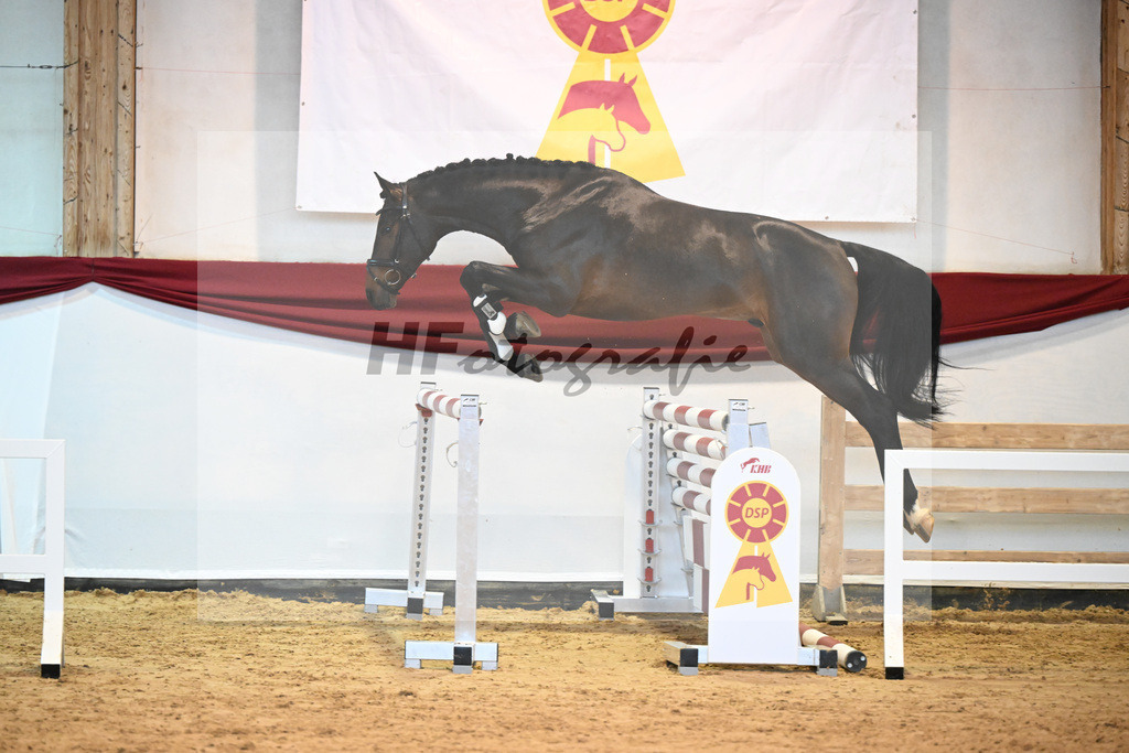 Kat-Nr. 23 Diacontinus x Luke Mc Donald_Stieglmaier_47241121 | hf-fotografie - Realizzato con Pictrs.com