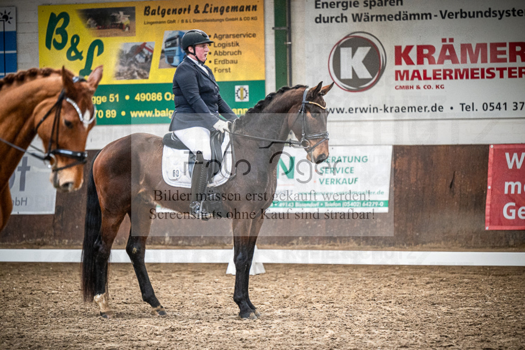 DOS_0037 | Entdecke hochwertige Reitturnierfotos von Foto Oger. Professionell, emotional und authentisch – jetzt Lieblingsmomente im Shop bestellen.Deutschlandweite Turnierfotografie. - Realisiert mit Pictrs.com