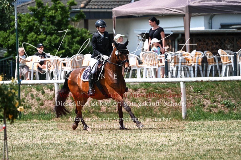DSC_9480 | Pferde- und Turnierfotografie in Westsachsen. Pferdeportraits, Auftragszeichnungen und intuitive Kunst.