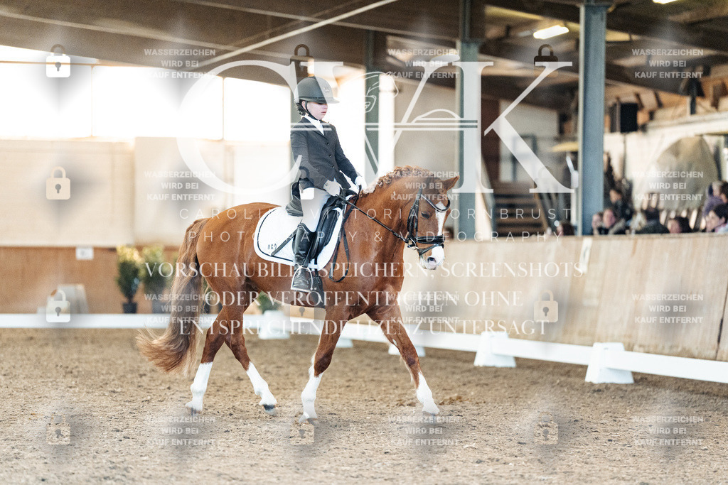 CK908160 | Turnierfotografie Pferdefotografie Trier Rheinland-Pfalz Pferdesport Reitsport Tierfotografie Sportfotografie Pferdevideo Pferdevideografie Equestrianvideography equestrianphotography  - Realized with Pictrs.com
