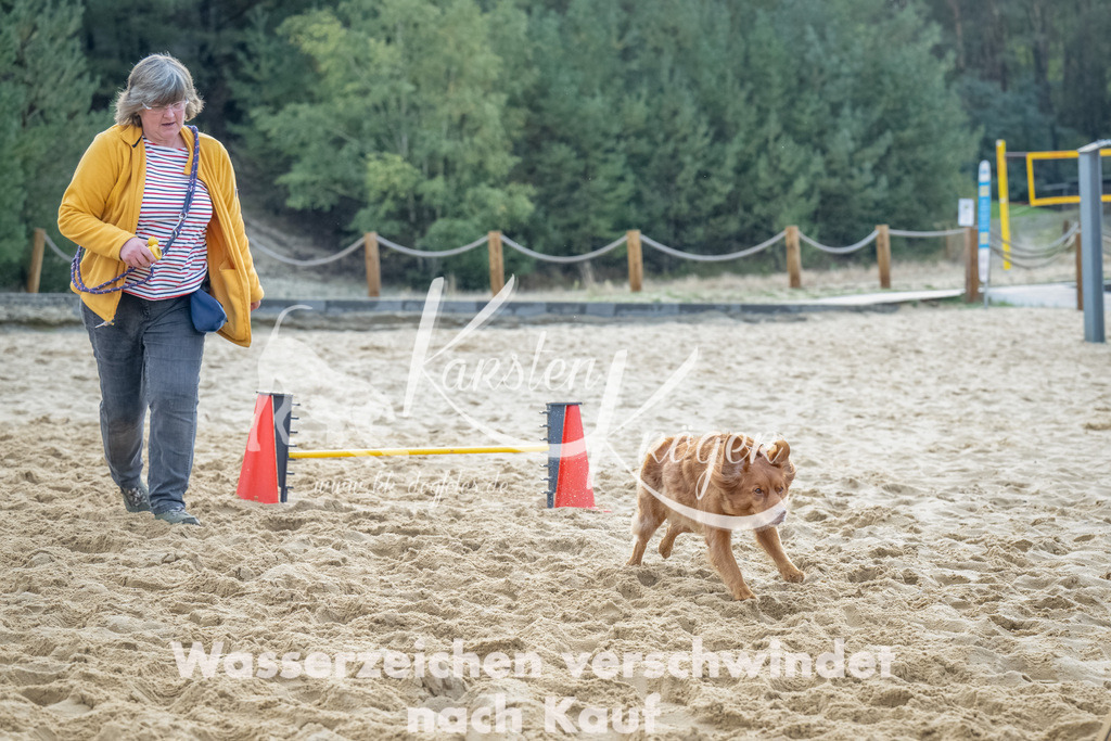 0910_ZZ91935-Bearbeitet | kk-dogfotos