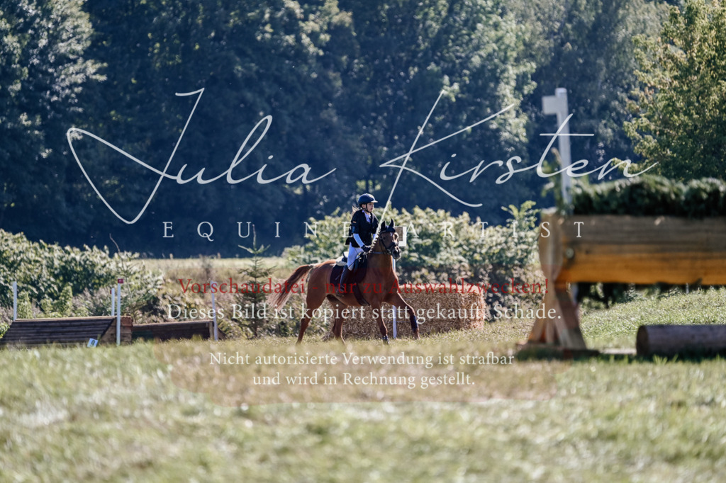 DSC_2963 | Pferde- und Turnierfotografie in Westsachsen. Pferdeportraits, Auftragszeichnungen und intuitive Kunst.