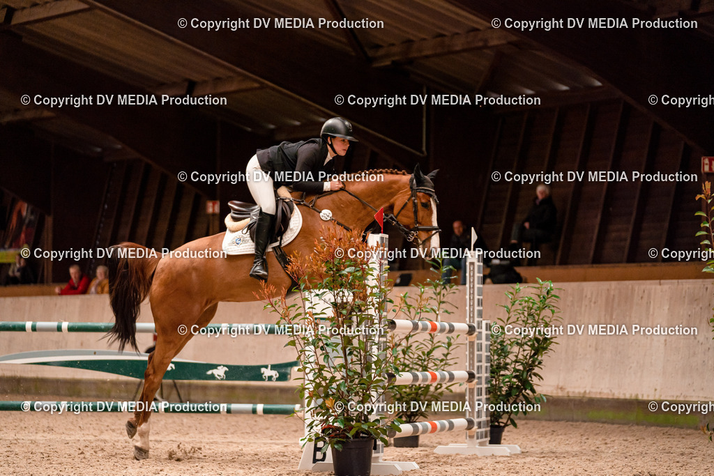 Springen Tag 1-551 | dv-media-shop - Realisiert mit Pictrs.com