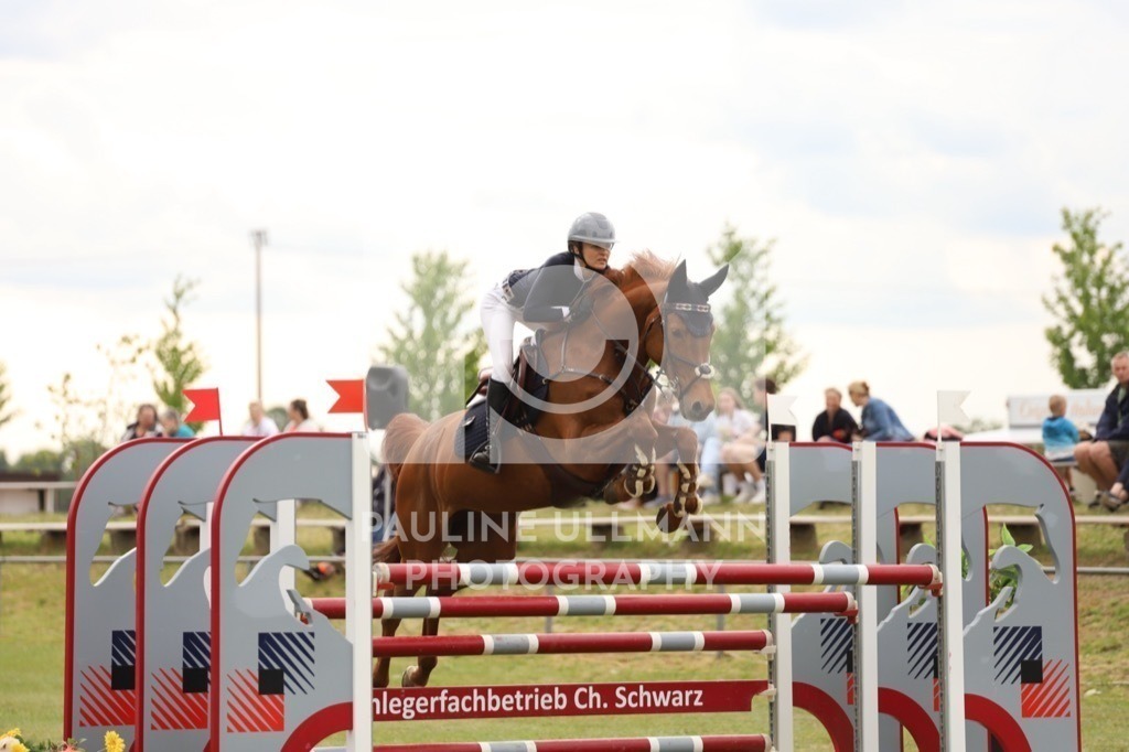 IMG_7996 | Pauline Ullmann Photography - Realisiert mit Pictrs.com